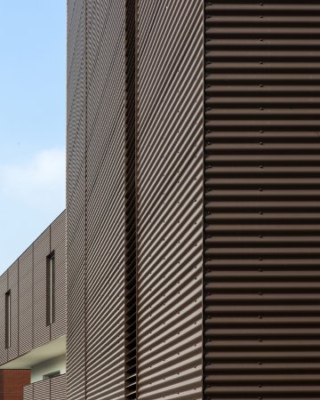 Sinusinės bangos profilis-image